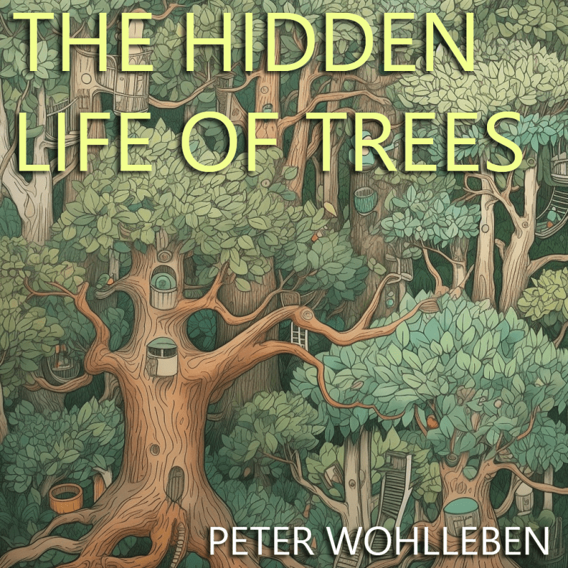 THE HIDDEN LIFE OF&nbsp;TREES